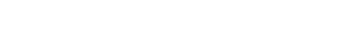 BNX LOGO